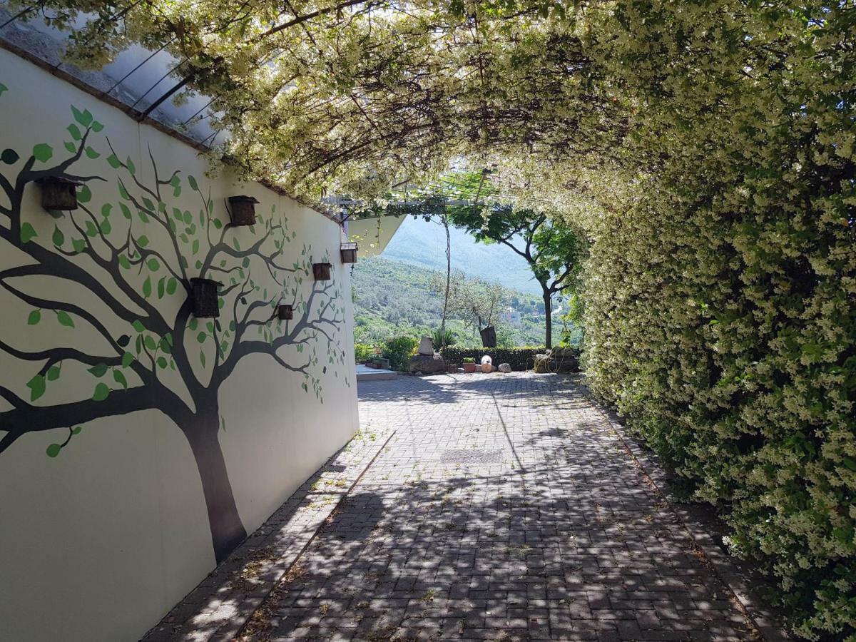 Villa #ioniahouse Surrel Tirana